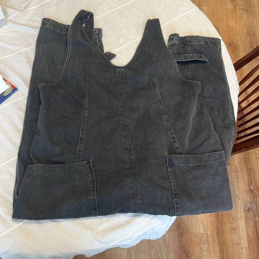 Free People We the Free High Roller Denim Overalls